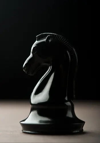 knight-sahaj